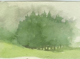 fogtrees150dpi