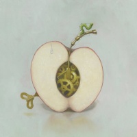 apple-website