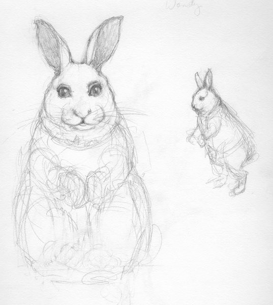 rabbit sketch.copy